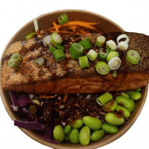 Salmon Pokie Bowl